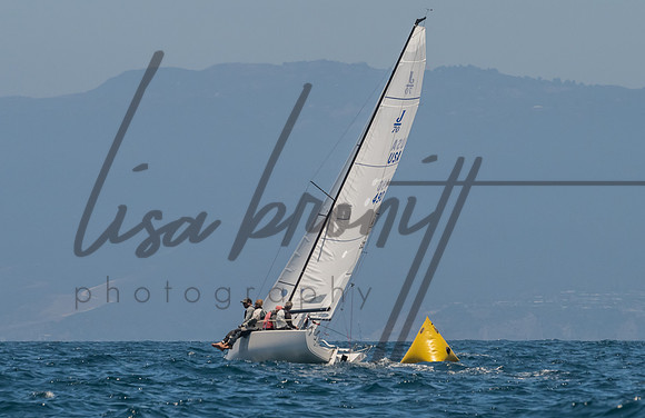 Cal Cup D1-89