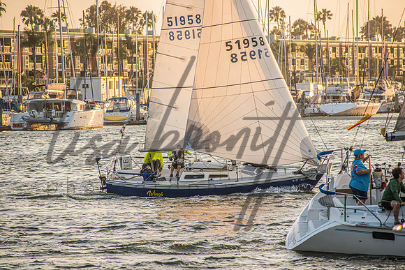 MDR Race 0810 (nw)-323