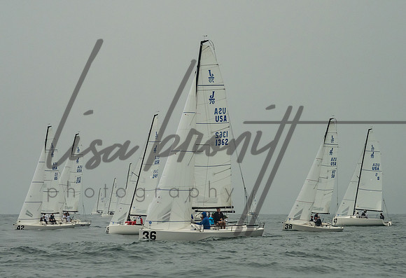 Cal Cup D2-99