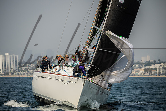 041325 CYC Harris-148