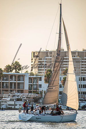 MDR Race 0810 (nw)-128