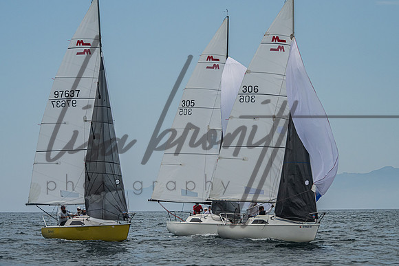060125 CYC CRW-41