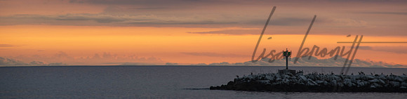 Sunset 0510 (nw) -62