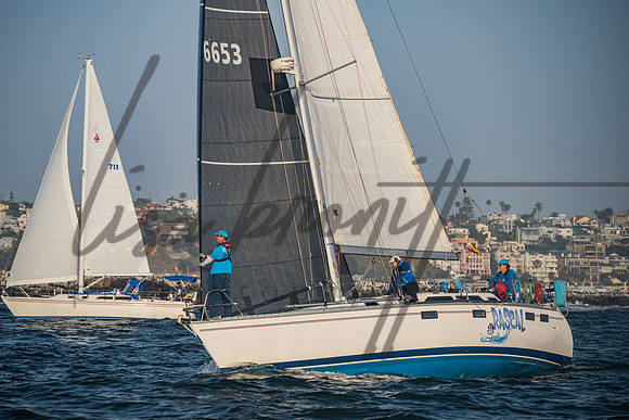 042722 CYC SS-242