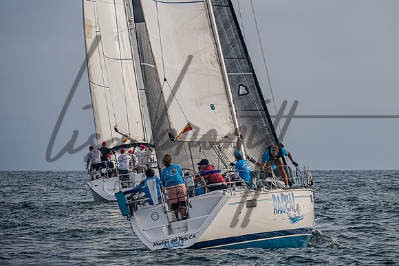080322 CYC SS-208