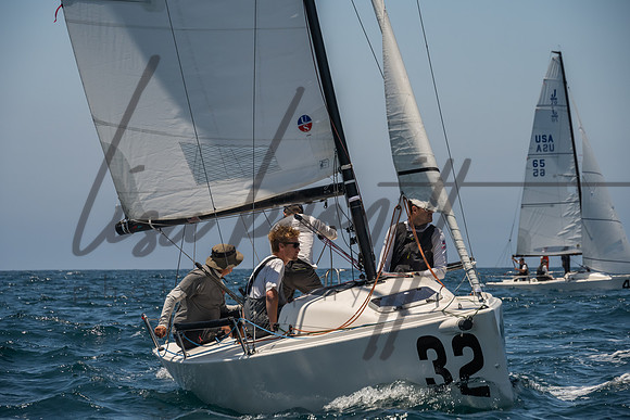 Cal Cup D1-33
