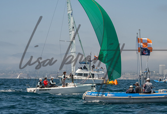 Cal Cup D1-128