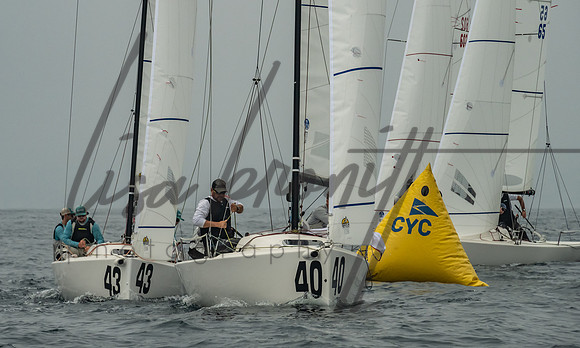 Cal Cup D2-108