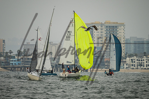 041325 CYC Harris-79