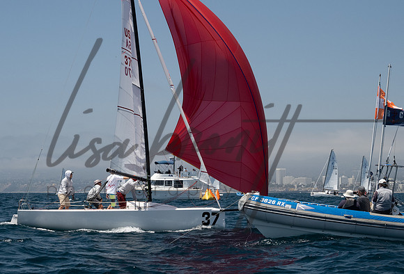 Cal Cup D1-142