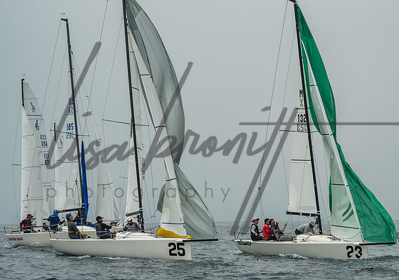 Cal Cup D2-172