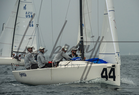 Cal Cup D2-131