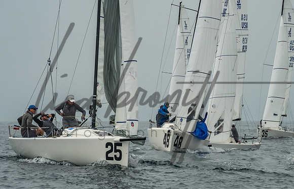 Cal Cup D2-169