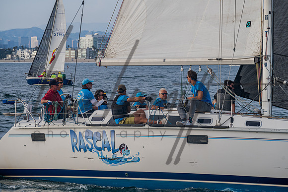 080322 CYC SS-184