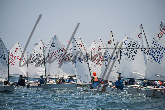 080125 Opti Championship-93