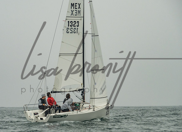 Cal Cup D2-81