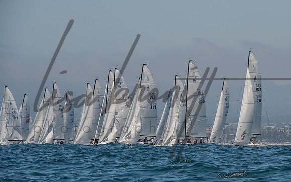 Cal Cup D1-42