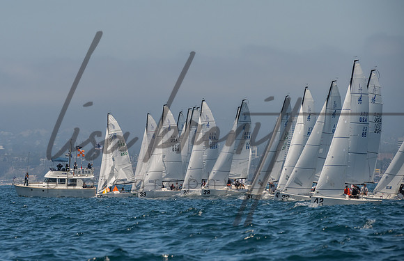 Cal Cup D1-61