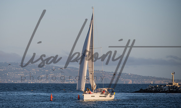 SS 062321 (nw)-281