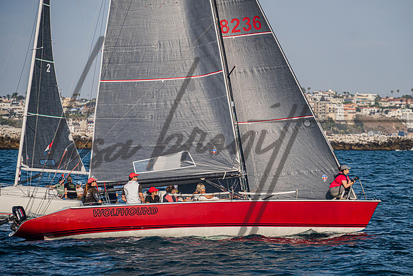 080322 CYC SS-97