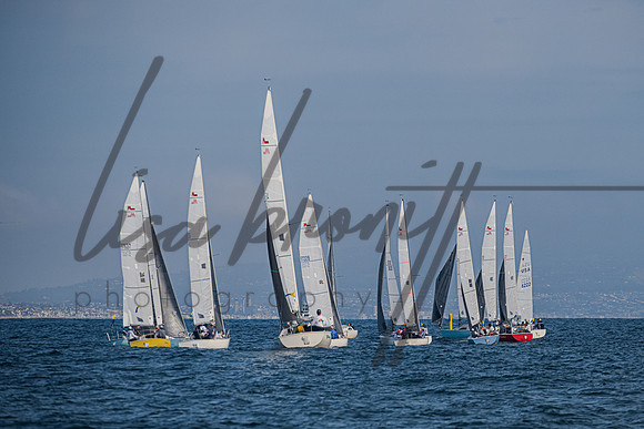 080322 CYC SS-163