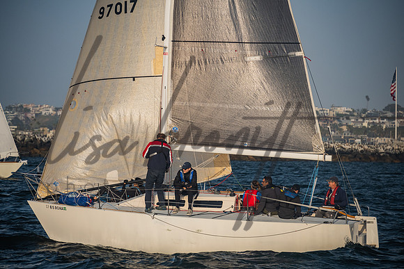042722 CYC SS-239