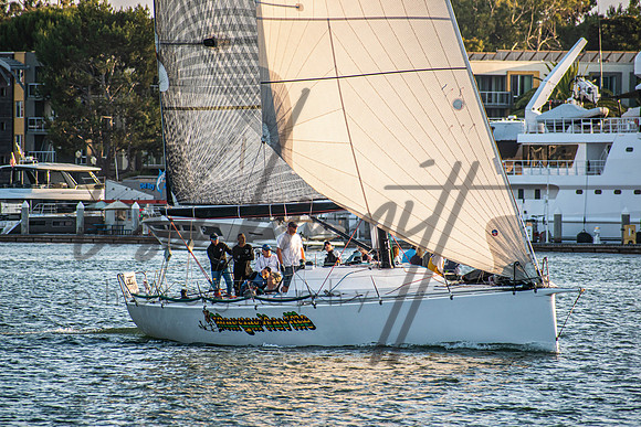 MDR Race 0810 (nw)-11