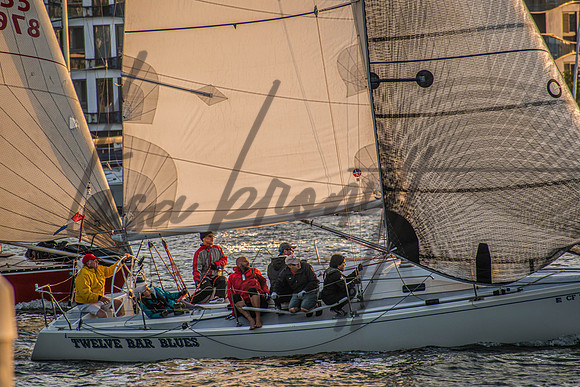 MDR Race 0810 (nw)-302