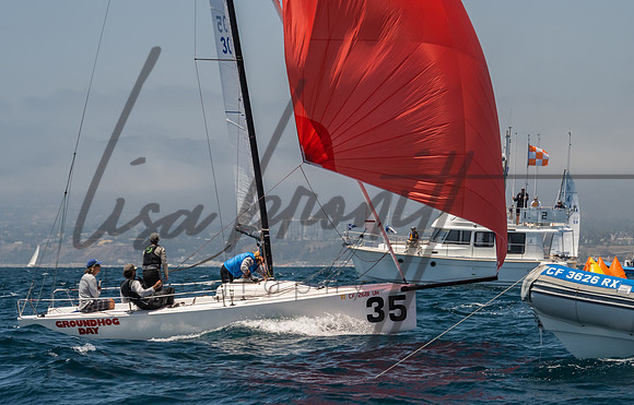 Cal Cup D1-133