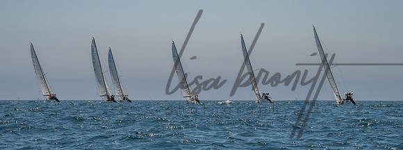 Cal Cup D1-87