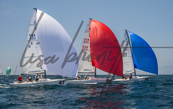 Cal Cup D1-136