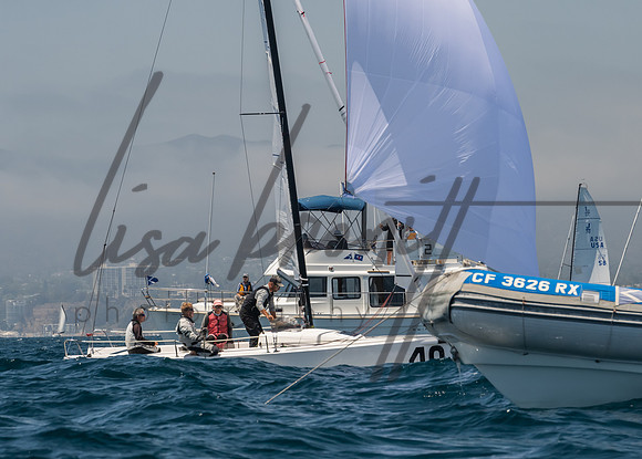 Cal Cup D1-131