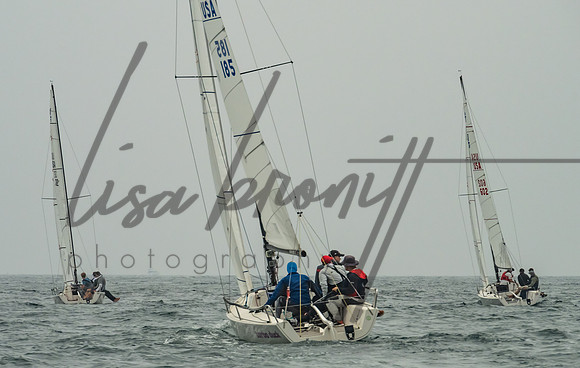 Cal Cup D2-97