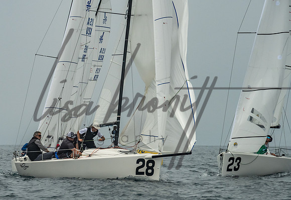 Cal Cup D2-168