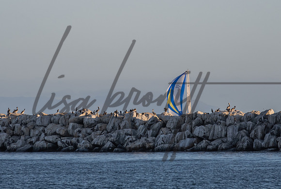 SS 062321 (nw)-237
