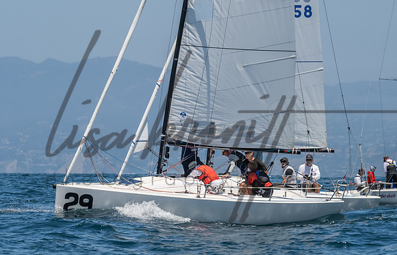 Cal Cup D1-12