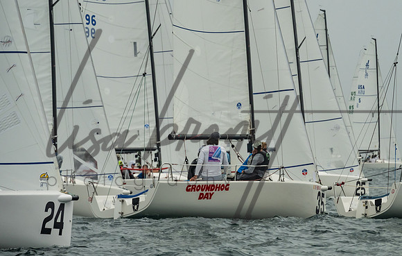 Cal Cup D2-42
