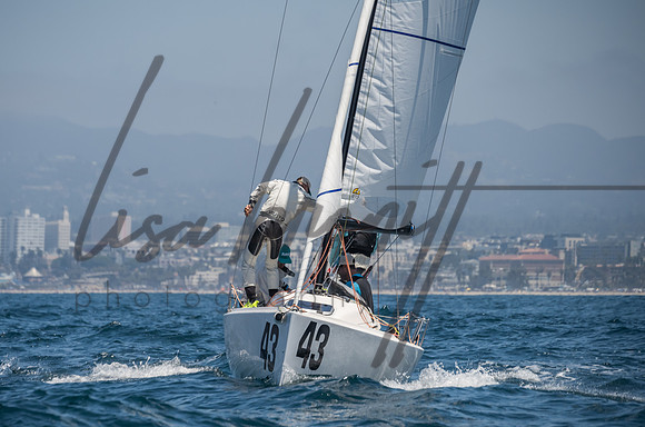Cal Cup D1-7