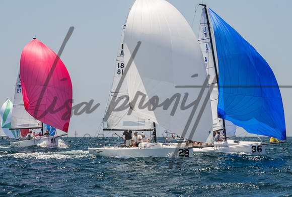 Cal Cup D1-109