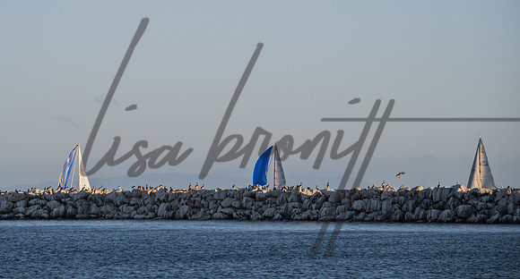 SS 062321 (nw)-245