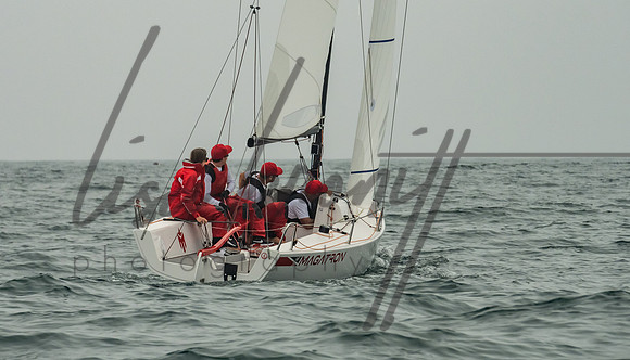 Cal Cup D2-66