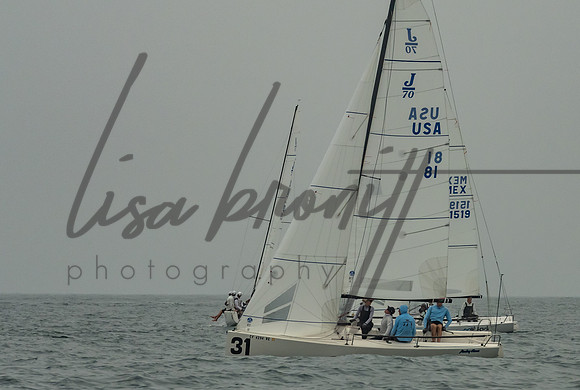 Cal Cup D2-94