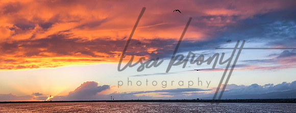 Sunset 0202 (nw)-12