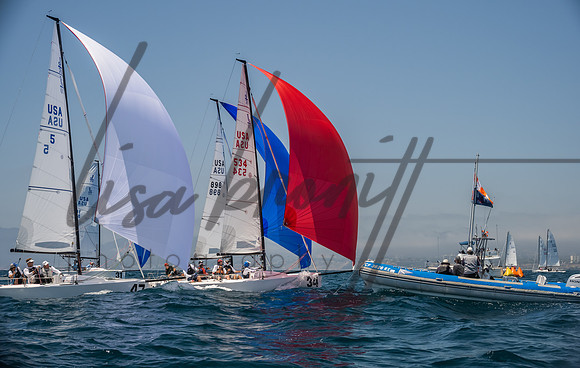Cal Cup D1-137