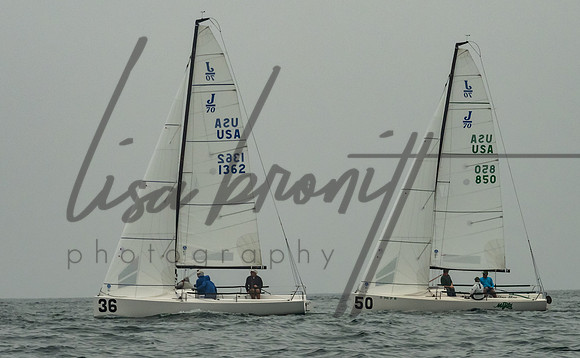 Cal Cup D2-98