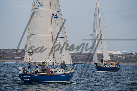 080322 CYC SS-172