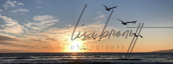 Sunset 0208 (nw)-7