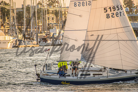 MDR Race 0810 (nw)-325