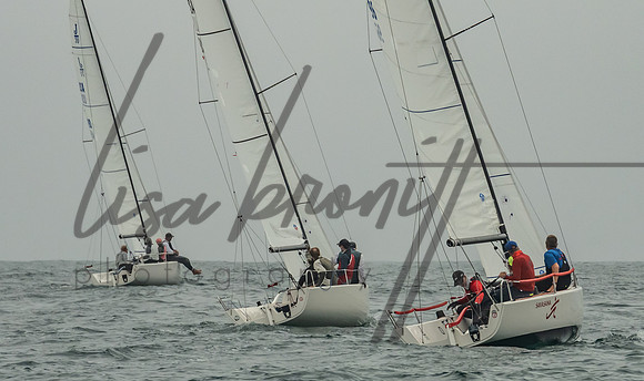 Cal Cup D2-86