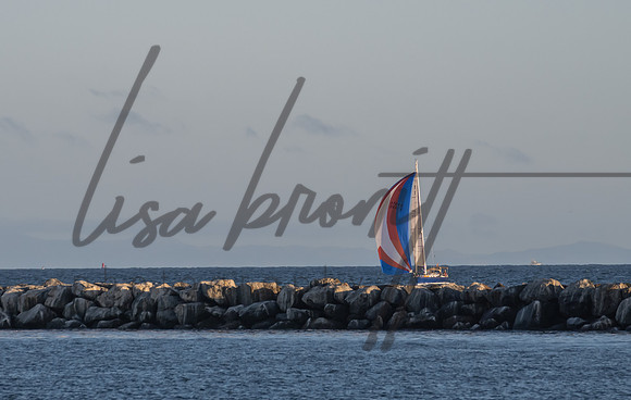 SS 062321 (nw)-236